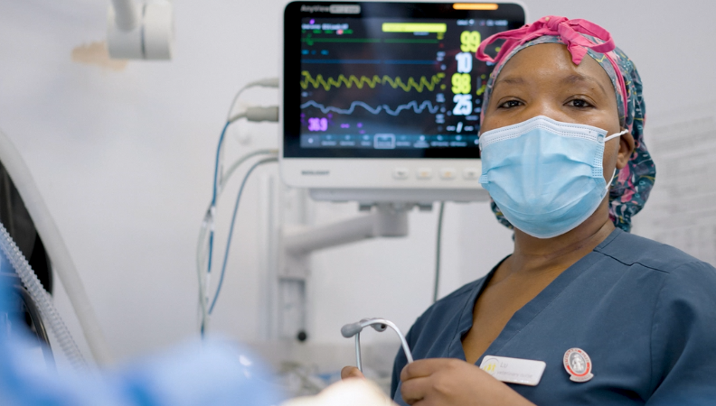 vnam-2024-image-3-website.png vnam-2024-image-3-website.png