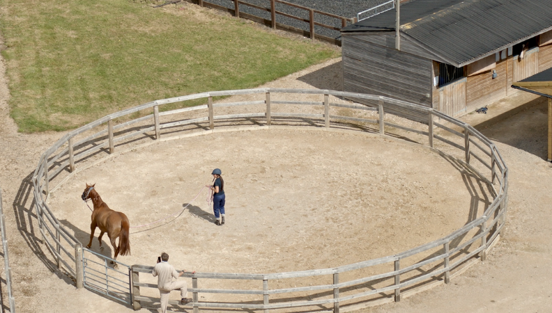 vnam-2024-image-2-website.png vnam-2024-image-2-website.png